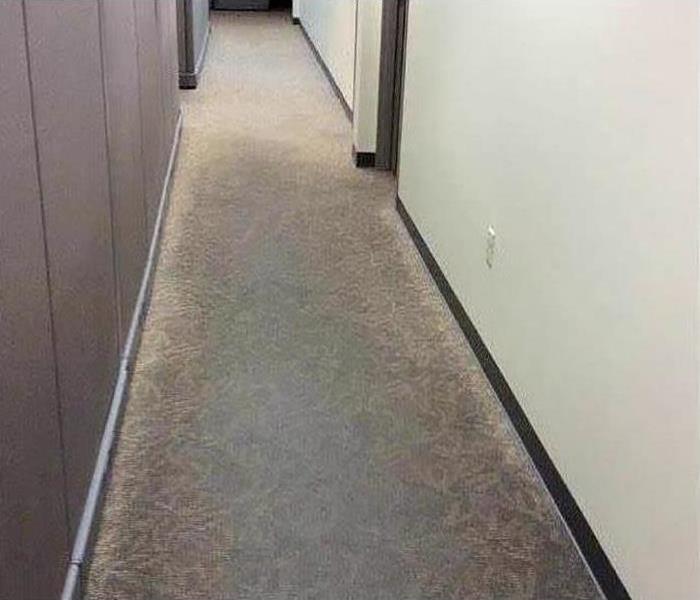 water damaged carpet in office hallway