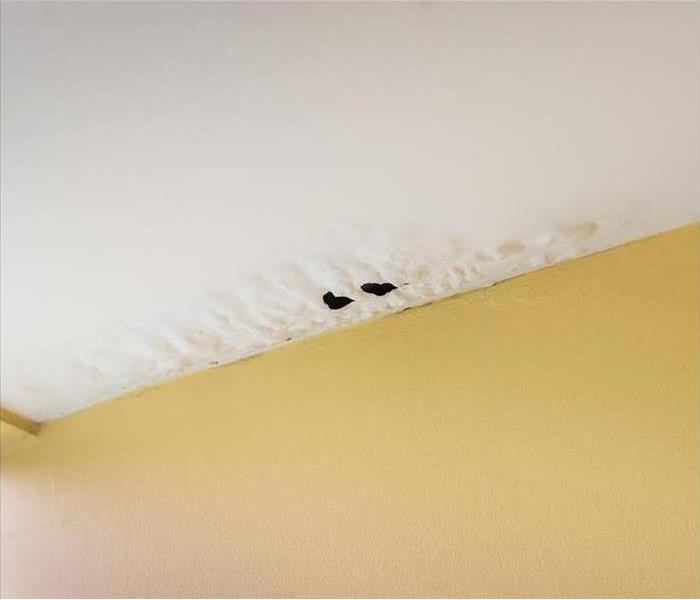paint bubbling from water damage on a ceiling