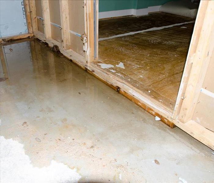 water on floor, removed drywall, studs