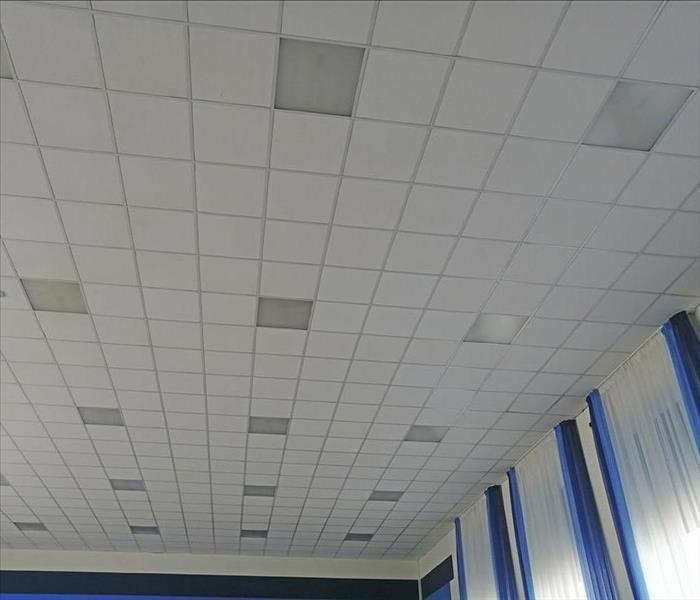 acoustic drop-ceiling tiles in office