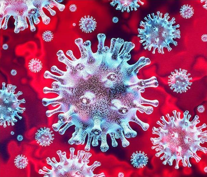 close up of virus cells on a red background