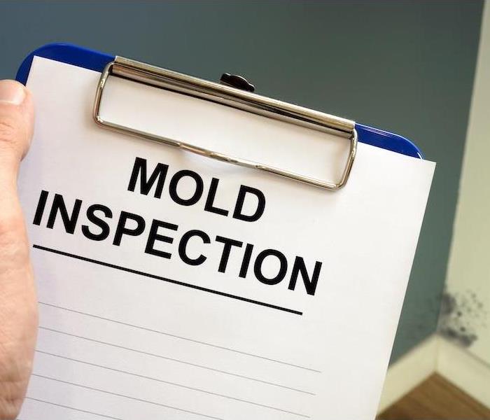 "Mold Inspection"